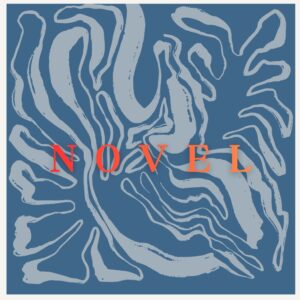 Novel